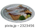 イカの姿造り
