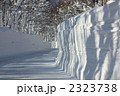 雪の回廊