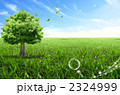 木風景_959969_jn
