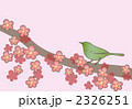 梅と鶯