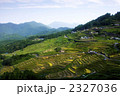 丸山千枚田