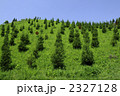 2327128