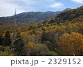 奥志賀高原の紅葉