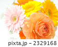 綺麗な花ガーベラとラナンキュラスのアレンジメント。
