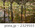紅葉の温身（ぬくみ）池