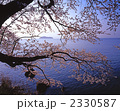 琵琶湖畔の冬