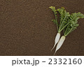 葉付き大根
