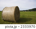 牧草ロール