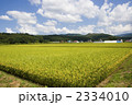 田園