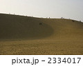 鳥取砂丘
