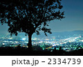 若草山からの夜景