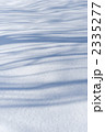 積雪と木の影