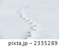 雪に残る動物の足跡