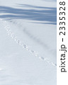 雪に残る動物の足跡