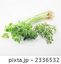 せり