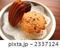 2337124