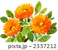 kinsenka1124pix.