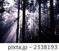 朝靄
