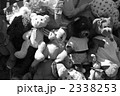 2338253