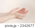 2342677