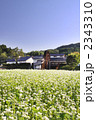 東山道とソバ畑