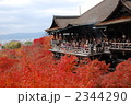 秋の清水寺にうっとり！