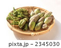 山菜盛り合わせ
