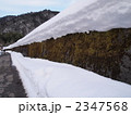 2347568