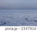 根室海峡の流氷