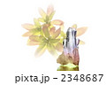 2348687