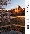 桜咲く姫路城