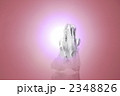 2348826