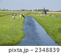 牧場　田園風景　運河　牛　オランダ