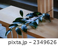 2349626