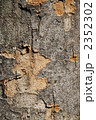 2352302