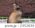 2352630