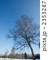 2353287