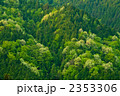 茶臼山の春