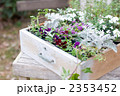 ガーデニング春の寄せ植え
