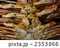 蟹　かに　カニ