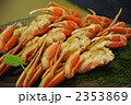 蟹　かに　カニ