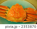 蟹　かに　カニ