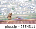 孤独のサル