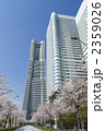 桜とランドマークタワー
