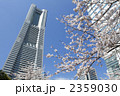 桜とランドマークタワー