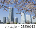桜とランドマークタワー