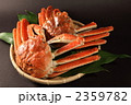 ズワイガニの姿