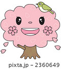 さくらちゃん