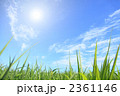 草原と空と太陽