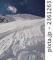 2361263